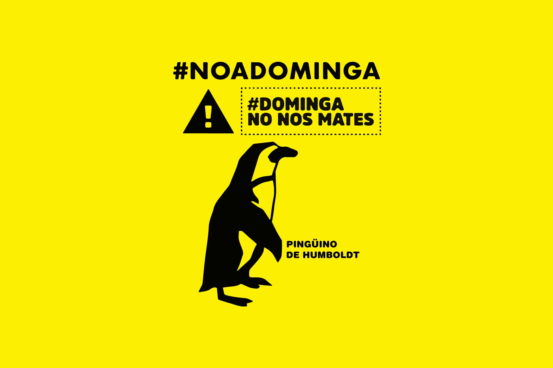 ¡NO A DOMINGA! EN IDMA DEFENDEMOS UNO DE LOS ECOSISTEMAS MÁS RICOS DEL MUNDO