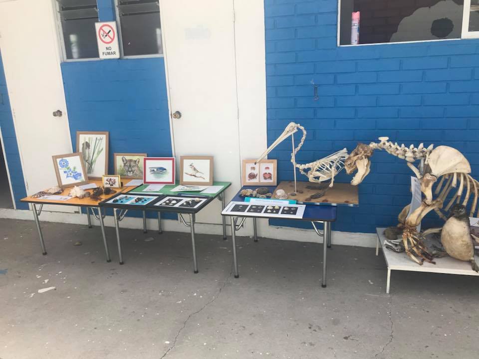 Exposición de Osteotecnia en Escuela de Lenguaje