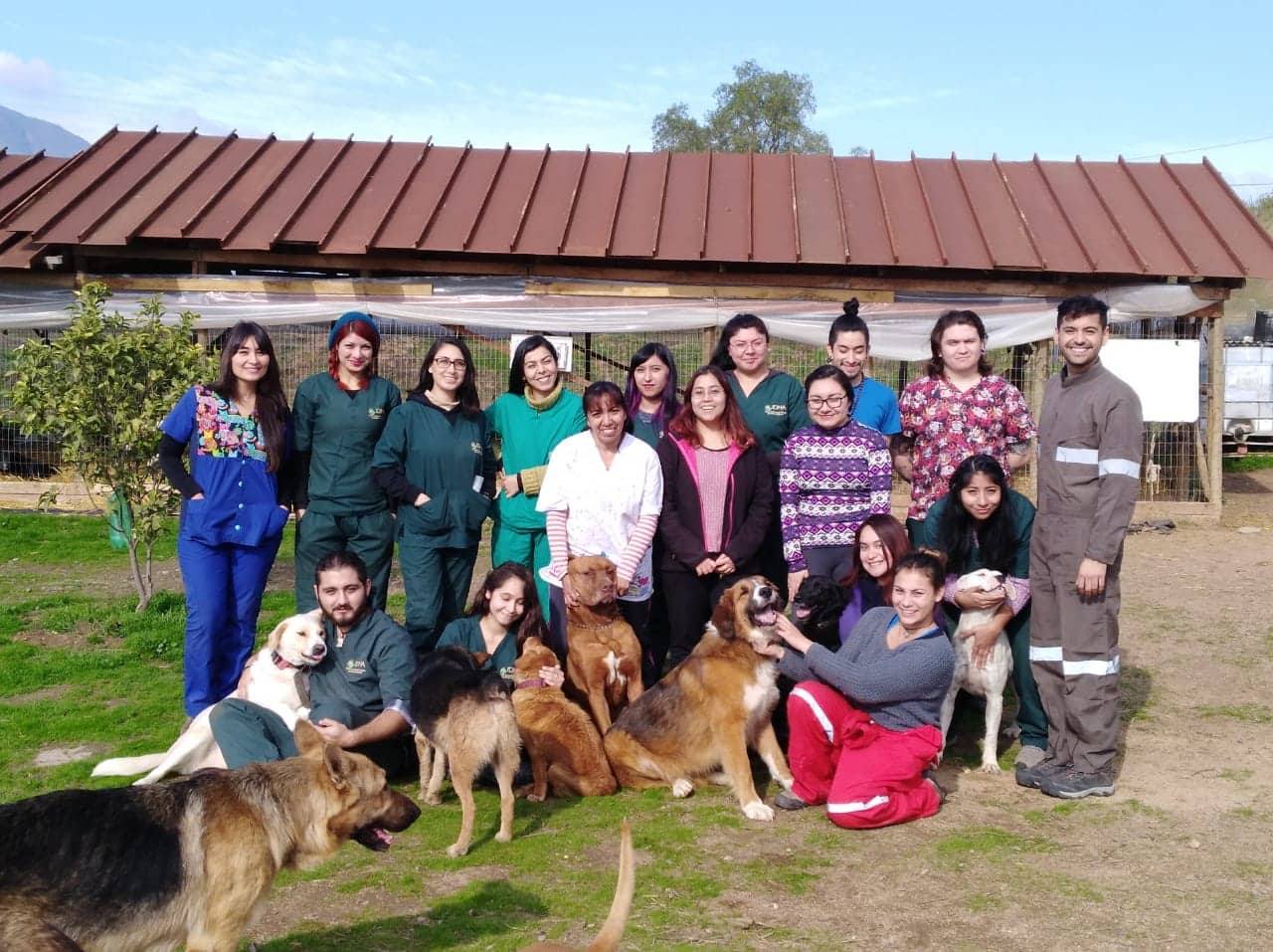 Finaliza 1er Diplomado Terapias Complementarias en Animales