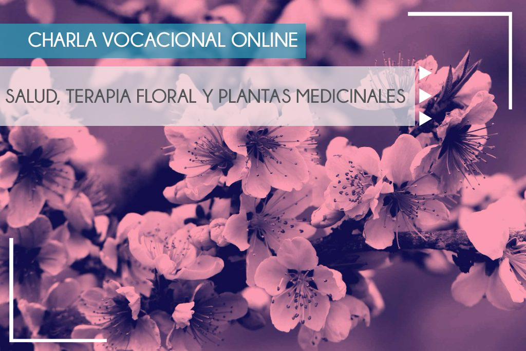 Charla de Salud, Terapia Floral y Plantas Medicinales Online