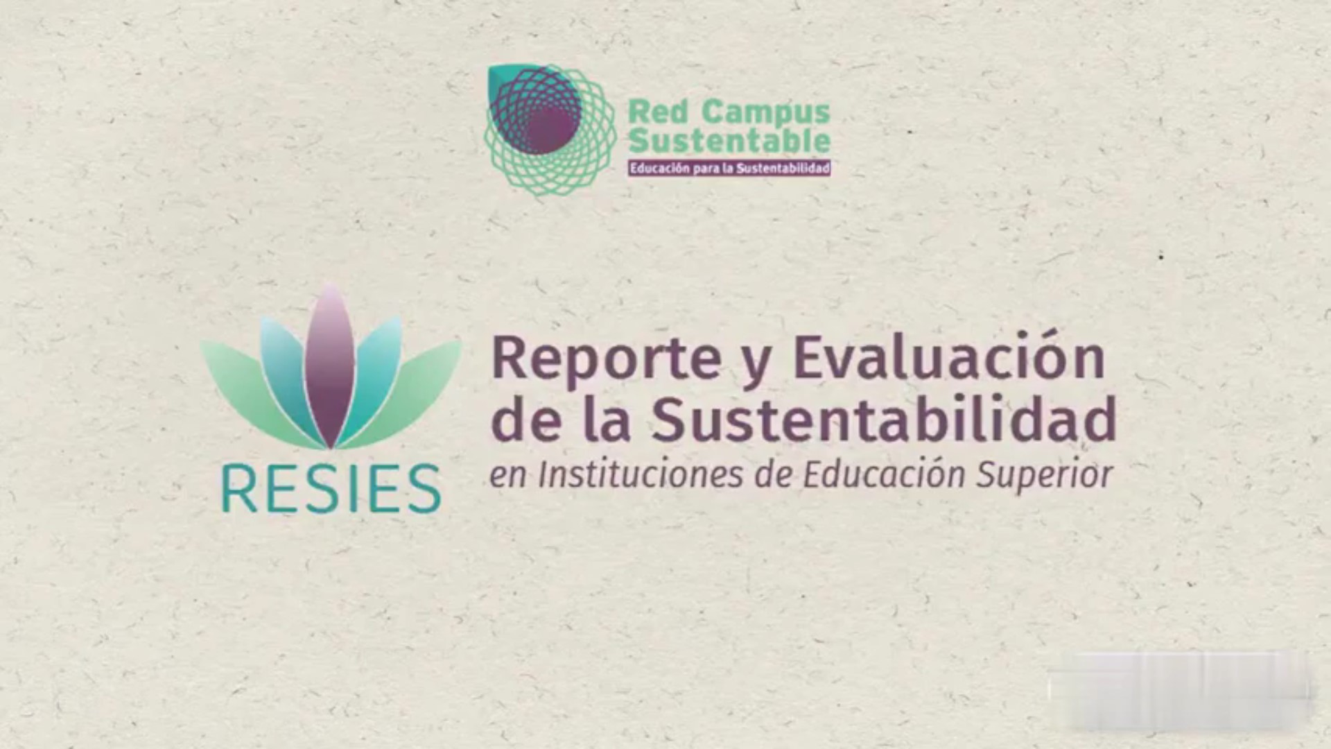 Red de Campus Sustentable: IDMA participa en reunión de revisión y avances de RESIES