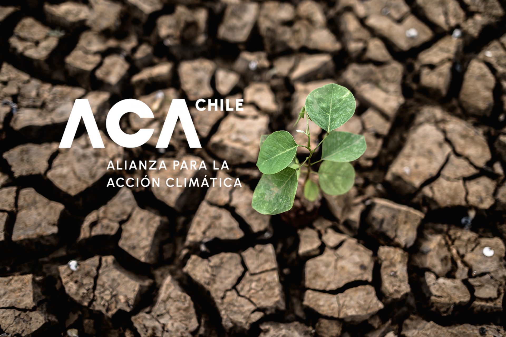 IDMA se suma a ACA Chile, iniciativa no estatal para salvar el planeta