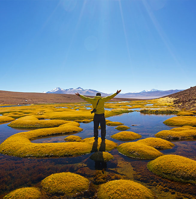 Ecoturismo: la actividad clave para el desarrollo económico sustentable del nuevo Chile