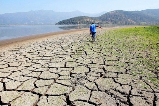 Día Mundial para Combatir la Desertificación y la Sequía: La esperanza en medio del desastre ecosistémico hídrico y terrestre