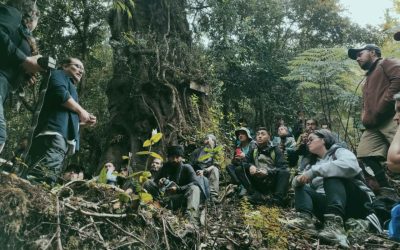 Importante hito: Estudiantes y docentes de Manejo de Áreas Silvestres registran Gato Huiña