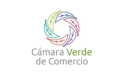 Gran paso para IDMA: Nuestra Rectora, Paola Cerda, se suma al directorio de la Cámara Verde de Comercio